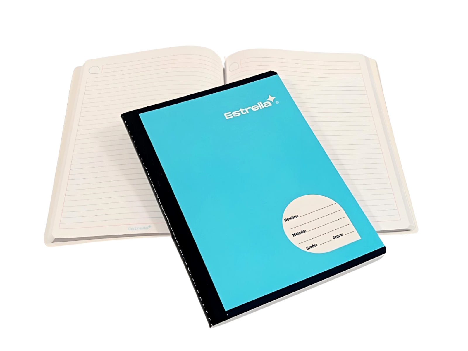 CUADERNO PROF COSIDO RAYA 100 HJS 0541 ESTRELLA             