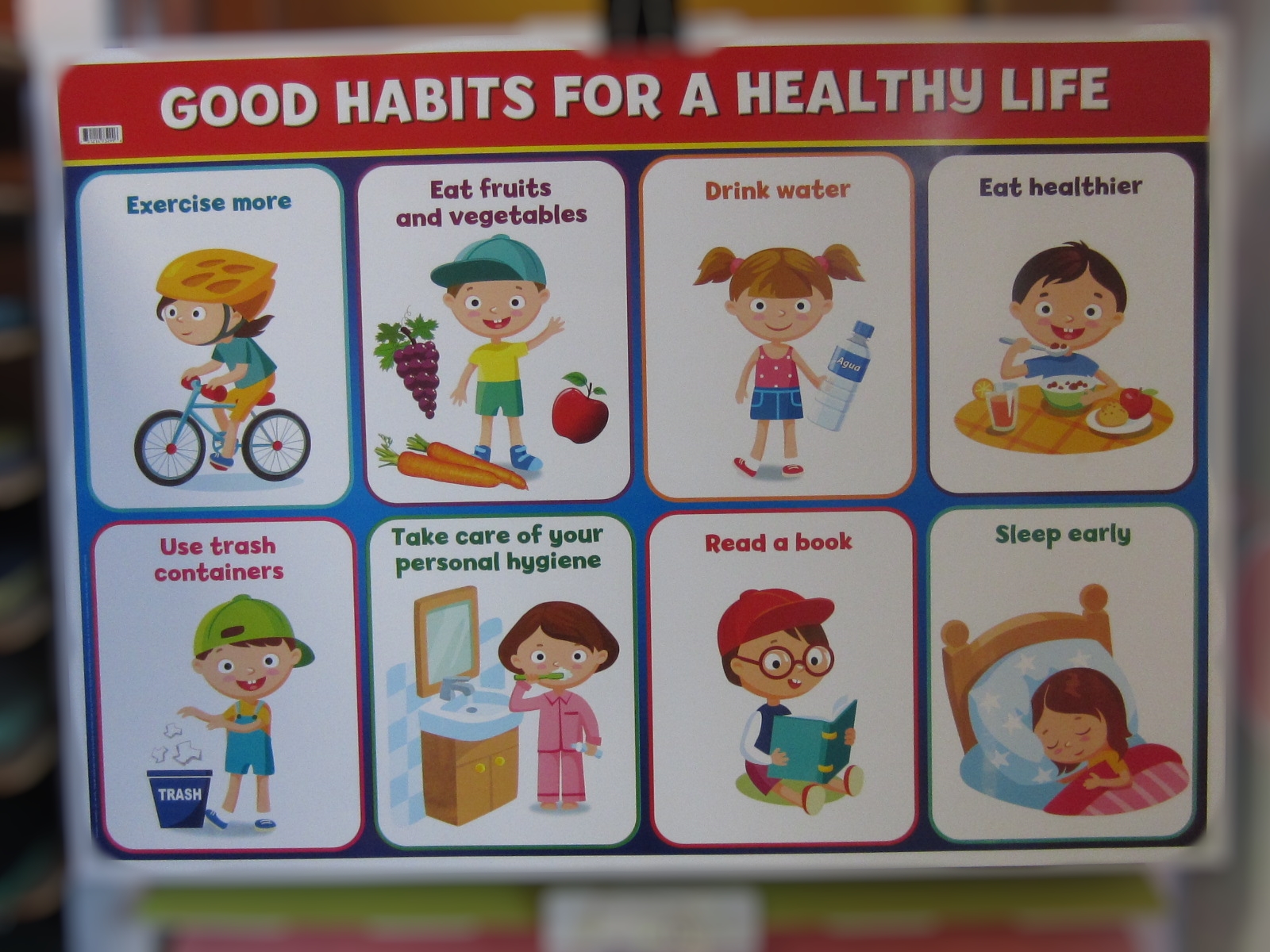 POSTER COMIDA SANA GRANMARK                                 