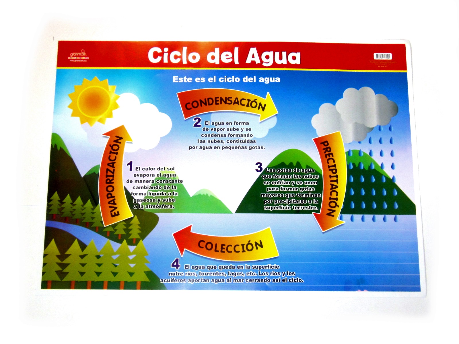 POSTER CICLO DEL AGUA GRANMARK                              