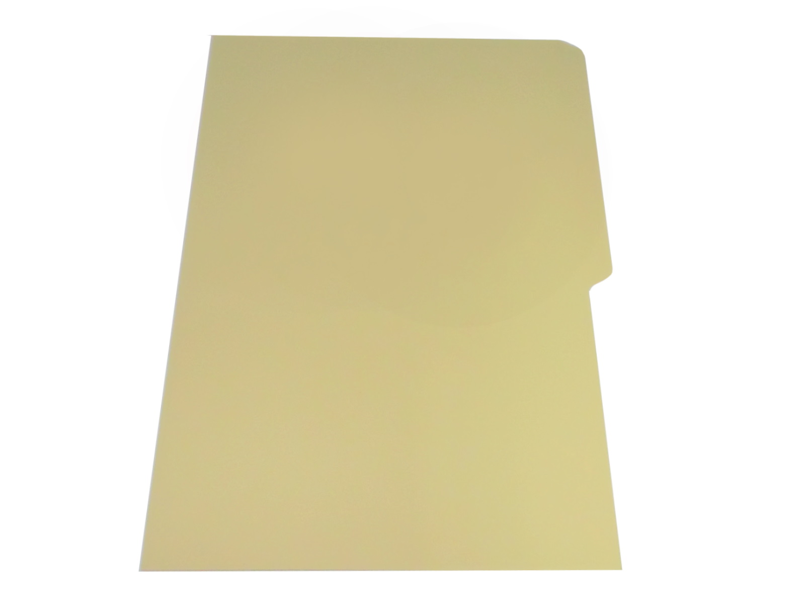 FOLDER OFICIO CREMA MEDIA CEJA                              